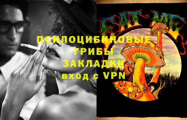 гидра Сафоново