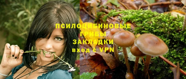 дживик Балахна