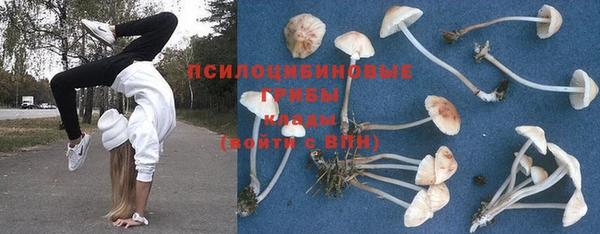 ПСИЛОЦИБИНОВЫЕ ГРИБЫ Баксан
