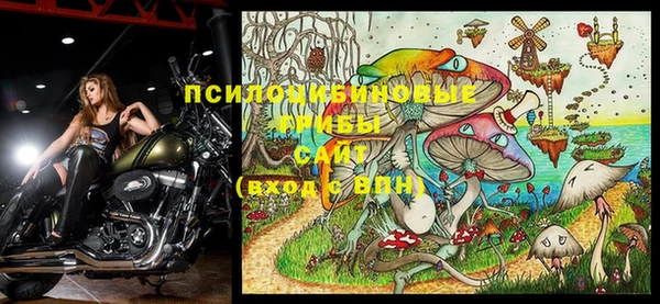 ПСИЛОЦИБИНОВЫЕ ГРИБЫ Баксан