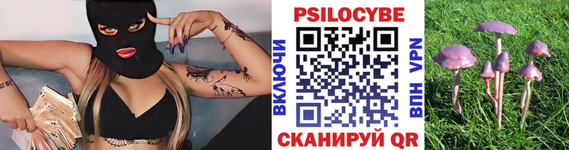 Галлюциногенные грибы Psilocybine cubensis  Котельниково 
